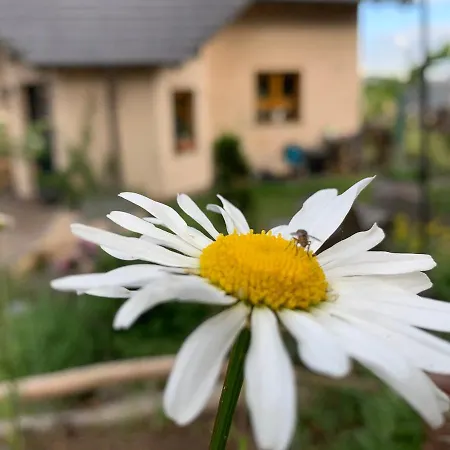 Kleine Auszeit Udler